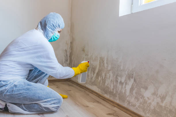 Licensed Hvac And Air Duct Mold Remediation service in Yorktown, VA - Car Mold Remediation